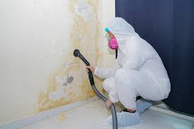 Mold Remediation for Rental Properties in Columbus, GA